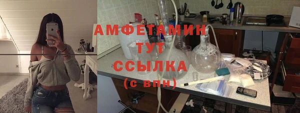 сатива Аркадак