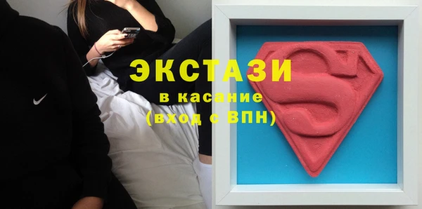 сатива Аркадак