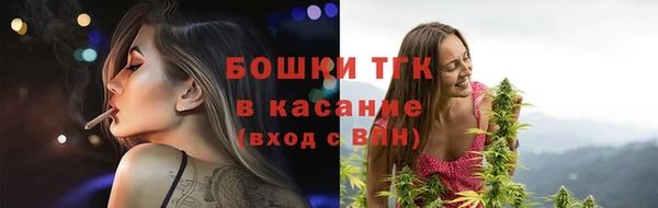 прущие крисы Новодвинск