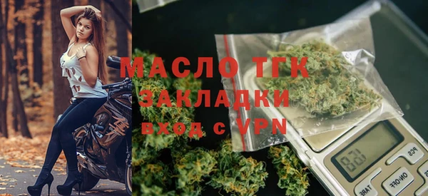 молекула духа Новозыбков