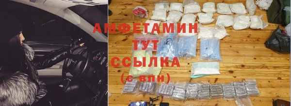сатива Аркадак