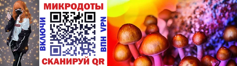 наркошоп  Светлый  Псилоцибиновые грибы Psilocybe 
